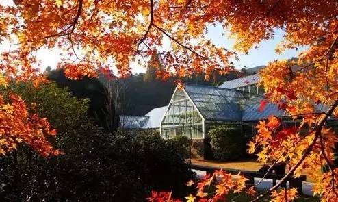 江西10.1小众自驾游路线推荐,江西最好的10条自驾游线路