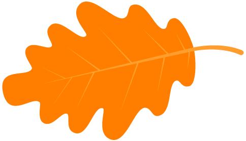 十大粉丝疯狂追星事件,网坛三巨头粉丝排行