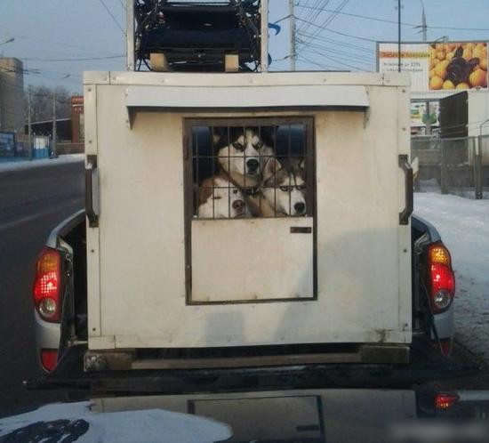 今天还是一如既往的冷！每日轻松一刻1月24日周日版