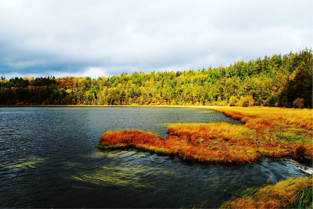 中国秋天最美的十个地方,秋天最美的旅游地点