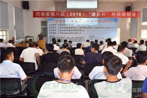 河南养猪业巨头,河南养猪身价百倍