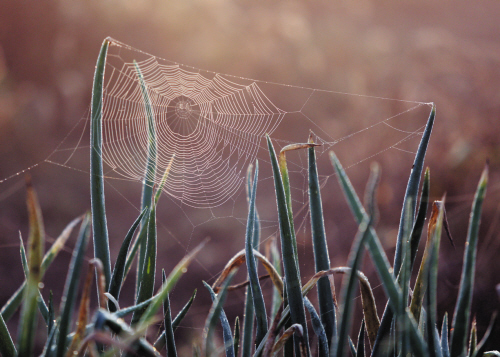 大连停电信息最新消息,大连甘井子山东路停电通知最新