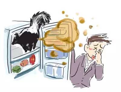 乌鲁木齐好吃的美食甜品,乌鲁木齐好吃的美食推荐甜品