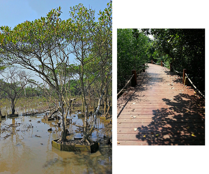 国庆美食一日游,国庆旅游各地美食推荐