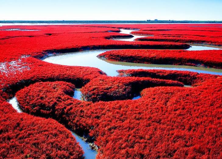沈阳秋季哪好玩,秋天沈阳市区风景最好的地方