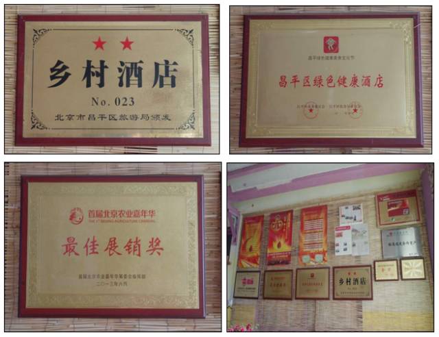 昌平区农业示范园采摘苹果,北京昌平苹果最佳采摘期