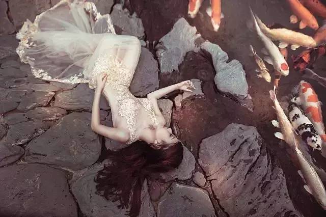 我的锦鲤梦,一直在坚持!