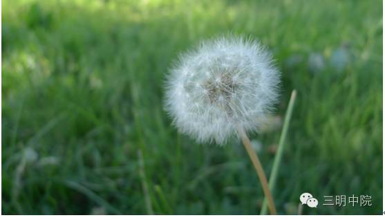疆域风情玛纳斯,玛纳斯冰雪风情旅游季