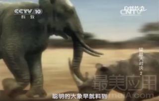 animelee鎬庝箞涓嬭浇,animelee娓告垙