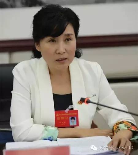 正阳县委最新人事调整,正阳县最新调整班子领导