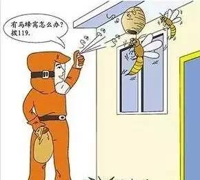 7岁小孩被虫蛰,浙江小朋友被虫子蛰