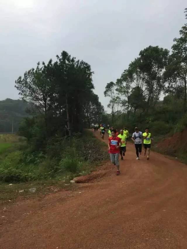 荆溪围棋谷,荆溪花海美景