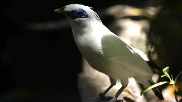 朋友圈发海边泳衣照好不好,朋友圈晒沙滩泳装