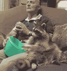 狗苗抓回来就要先打疫苗吗,买狗疫苗要打全才能买回去吗