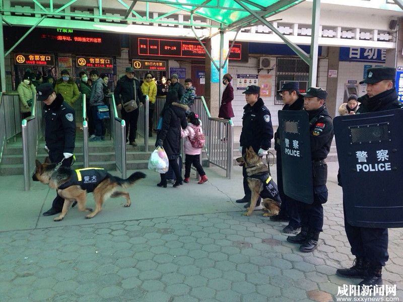 咸阳铁警严阵以待保春运平安护卫犬首次亮相车站