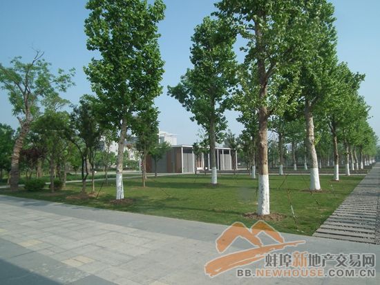 世界那么大只有回到家才能走,世界这么大还是想回老家