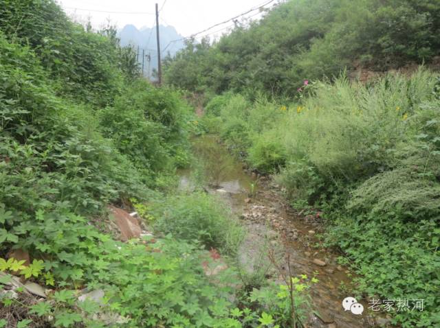 鞍匠黑沟门，美的不成样子