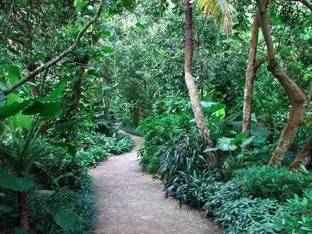 海南万宁国庆旅游攻略,万宁十大旅游必买品