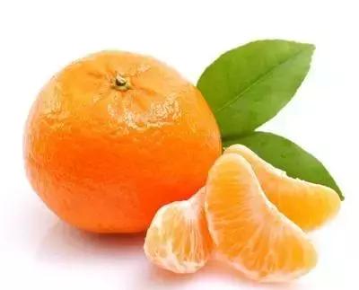 24种健康养生的食物,十种营养养生食物身体保健必备