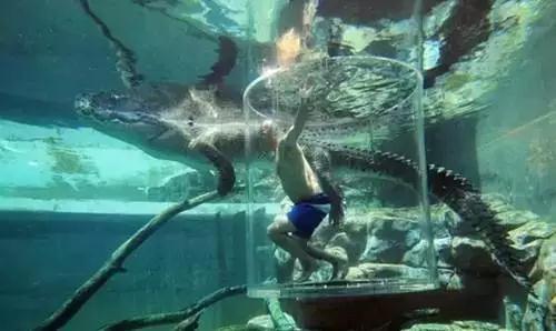 世上最危险的旅行禁区,十大最危险旅行