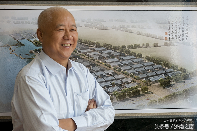 济南美里湖湿地,飞越济南