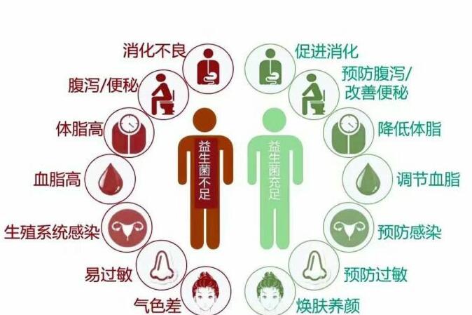 品牌酸奶都有什么,不同牌子的酸奶