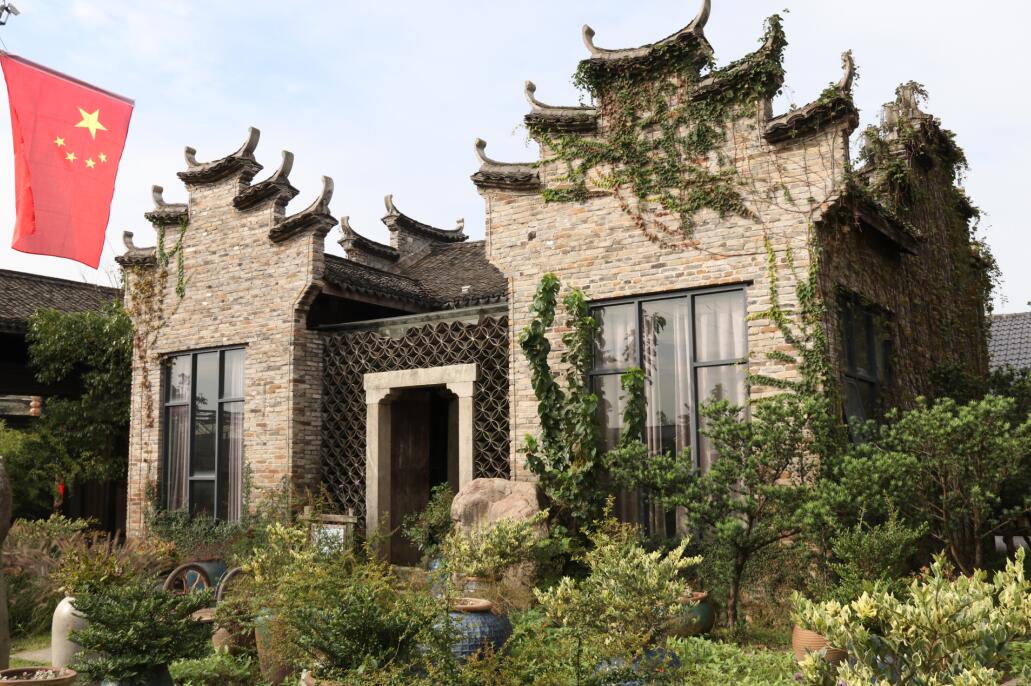 从种植园到文化园金华佛手大王点“绿”成“金”