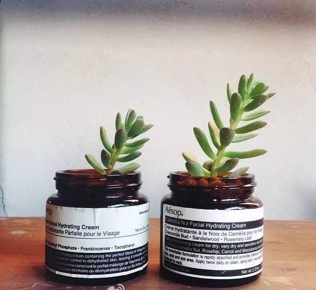 澳洲aesop护肤品,澳洲伊索明星产品