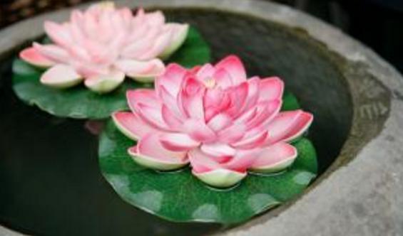 早上9点45分出生男命没有桃花运,几点钟出生的人容易爆发财运