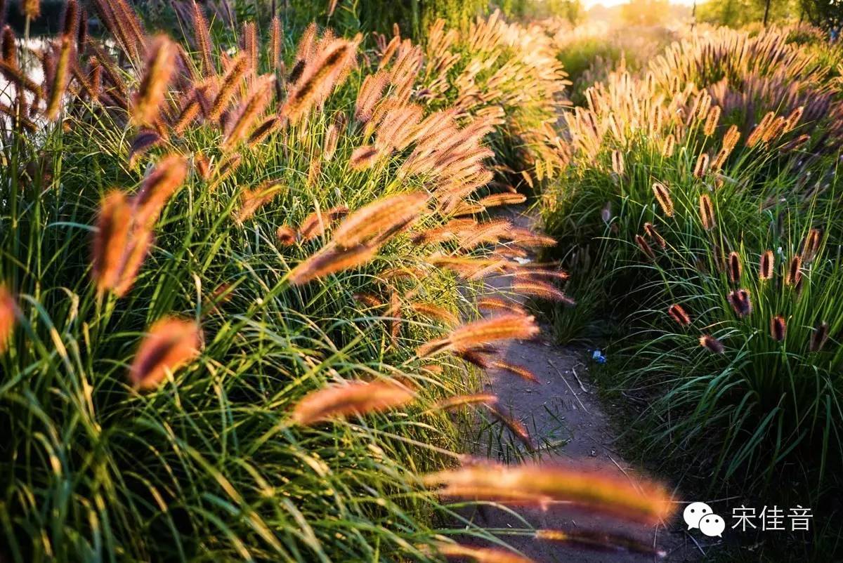 比故宫大3倍景色堪比颐和园,比御花园好看无数倍的皇家园林