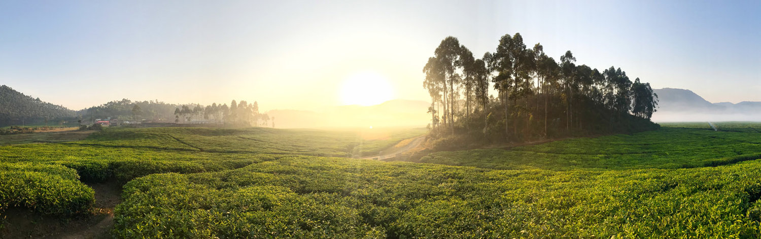 iphone7拍照怎么更好看,iphone7拍照评分