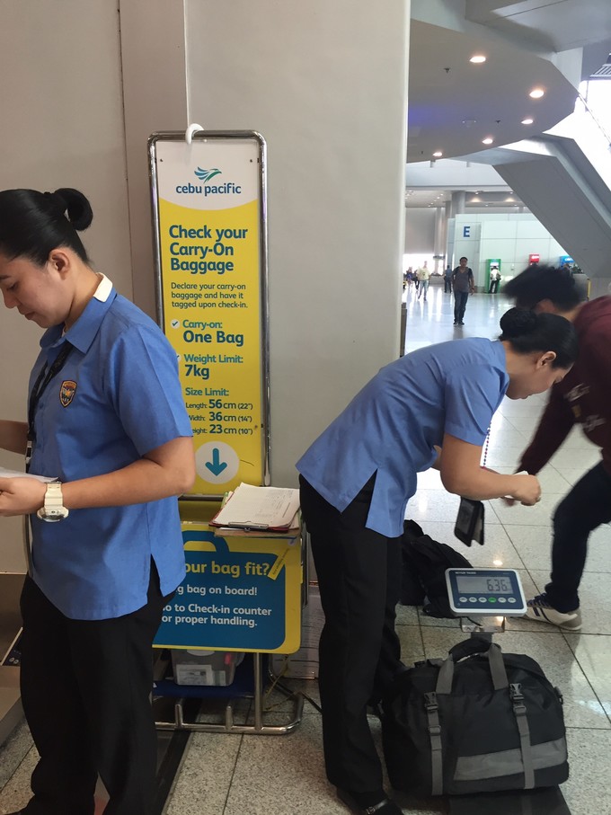 菲律宾潜水游记 (回忆菲律宾潜水的时光)