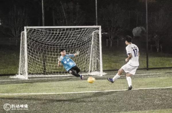 植物争霸赛新五强vs老五强,五甲联赛总决赛赛程