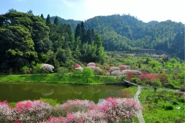 福建海边旅游推荐民宿,福建小木屋