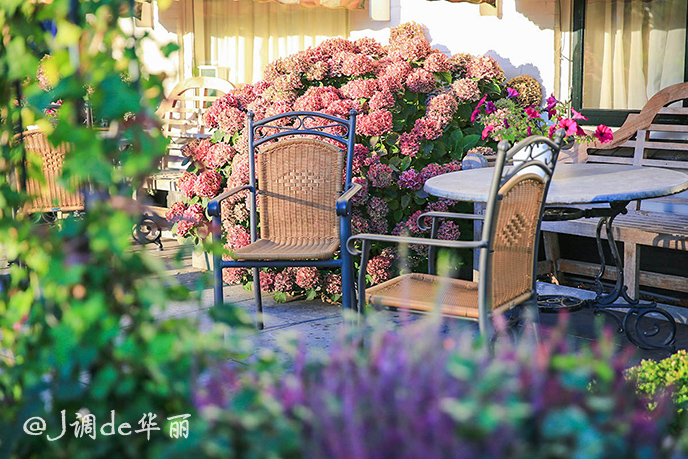 欧洲最美水乡荷兰羊角村,荷兰羊角村美丽的童话世界