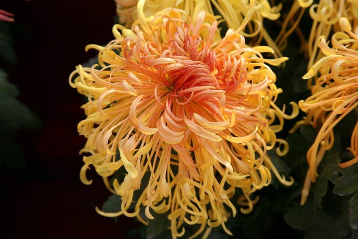 我写一首诗完美地告别九月，打开十月的那扇门