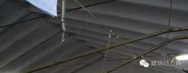 人工授精是什么行业,人工授精属于什么工程的产物