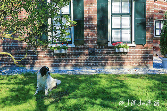 欧洲最美水乡荷兰羊角村,荷兰羊角村美丽的童话世界