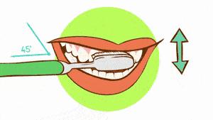 不正确的刷牙方式导致牙根外露,正确的刷牙方法横着刷还是竖着刷