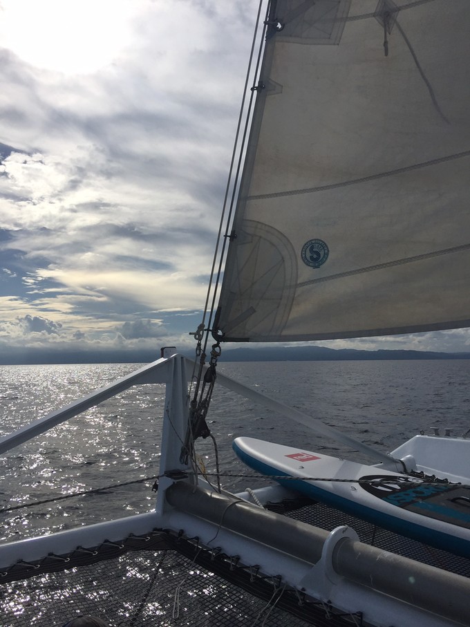 菲律宾潜水游记 (回忆菲律宾潜水的时光)