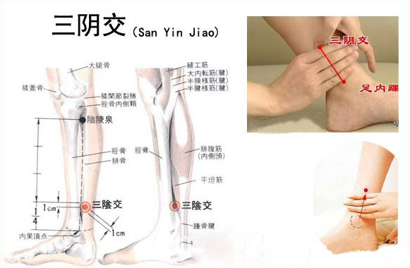 化工厂对肝脏有损伤吗,肝脏是化工厂怎么解释