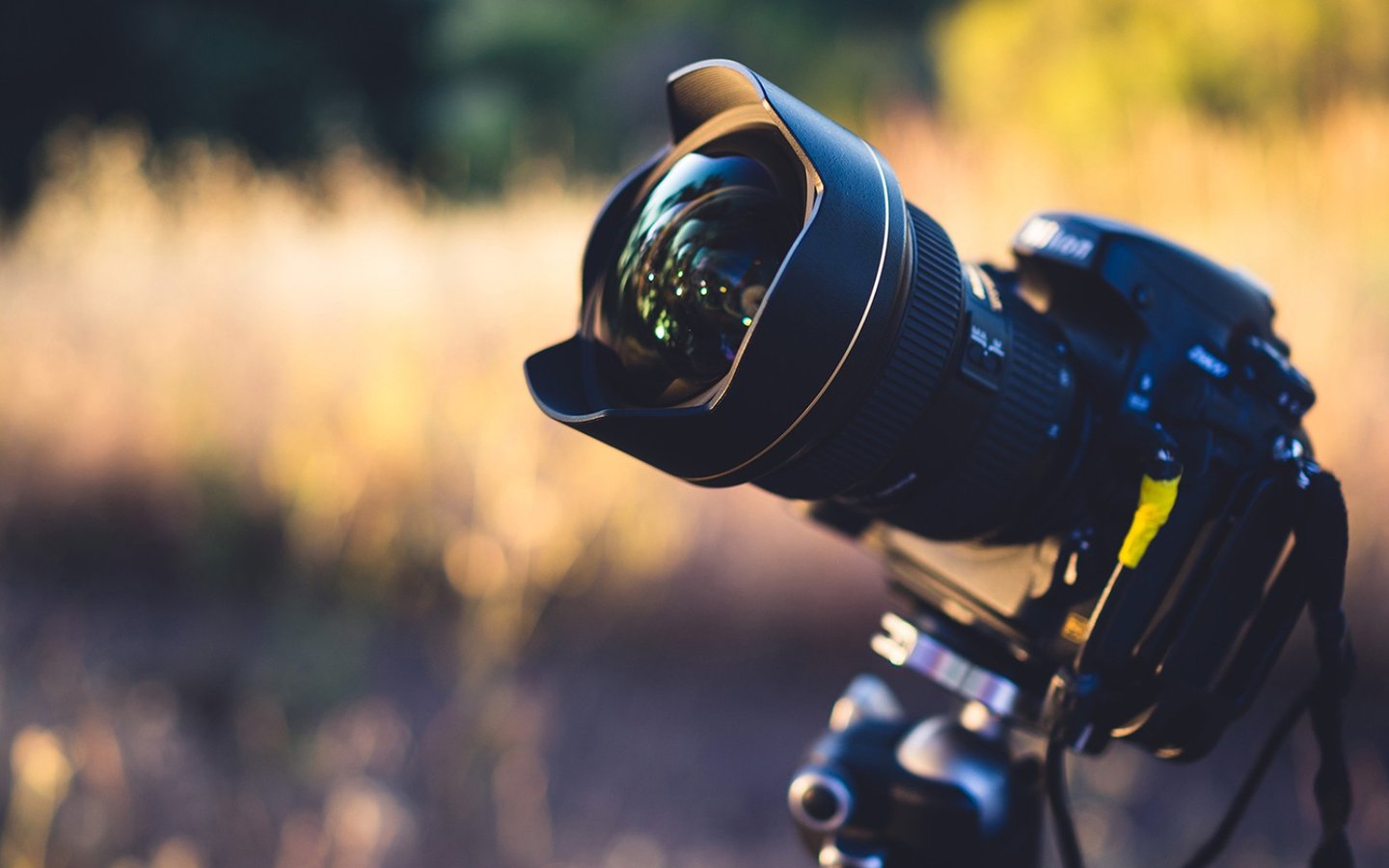 你是人生的最美，我愿意接受每一个足迹