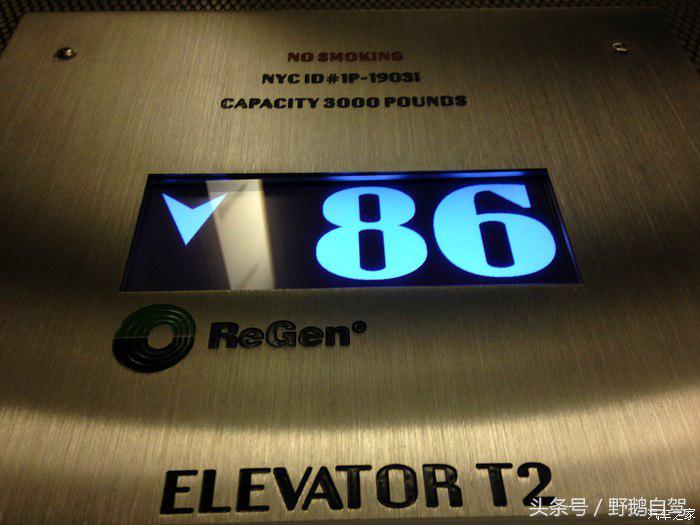 野鹅旅行,野鹅自驾无人区