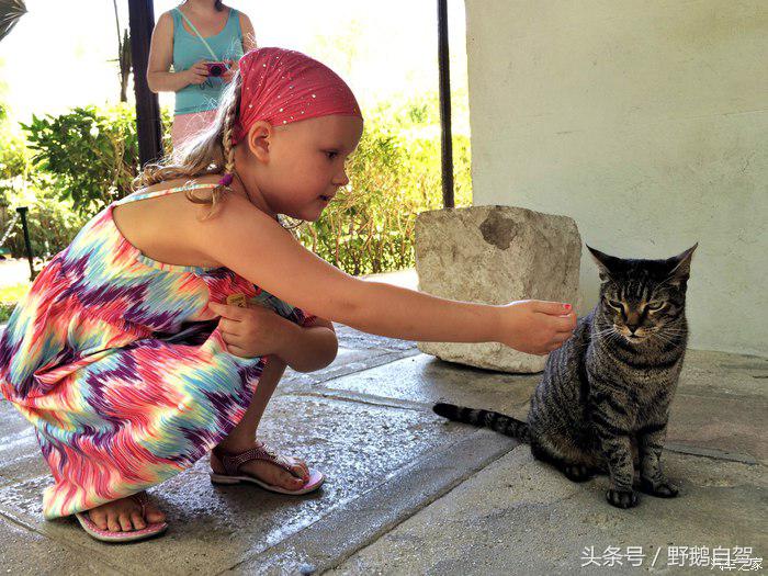 野鹅旅行,野鹅自驾无人区