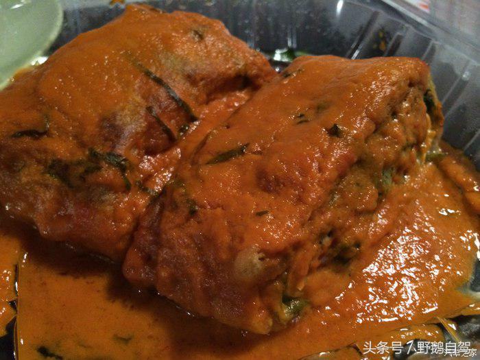 野鹅旅行,野鹅自驾无人区