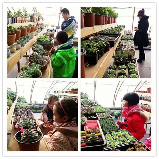 给你一个不一样的暑期体验,给你一个不一样的体验