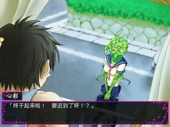 夭寿啦,夭寿啦小说