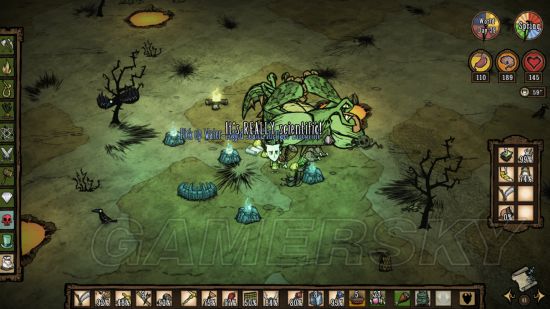 饥荒联机版攻略最详细教学,饥荒联机版芦苇有什么用