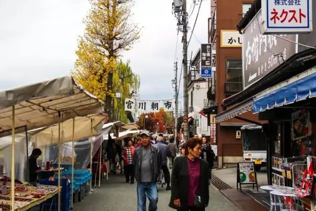 红叶堪比京都，温泉不输北海道的赏枫地，11-12月往返机票￥800+，不用担心人潮说走就走
