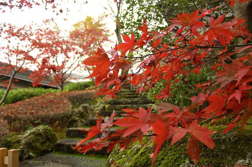 去箱根泡温泉要多少钱,箱根有专门泡温泉的地方吗